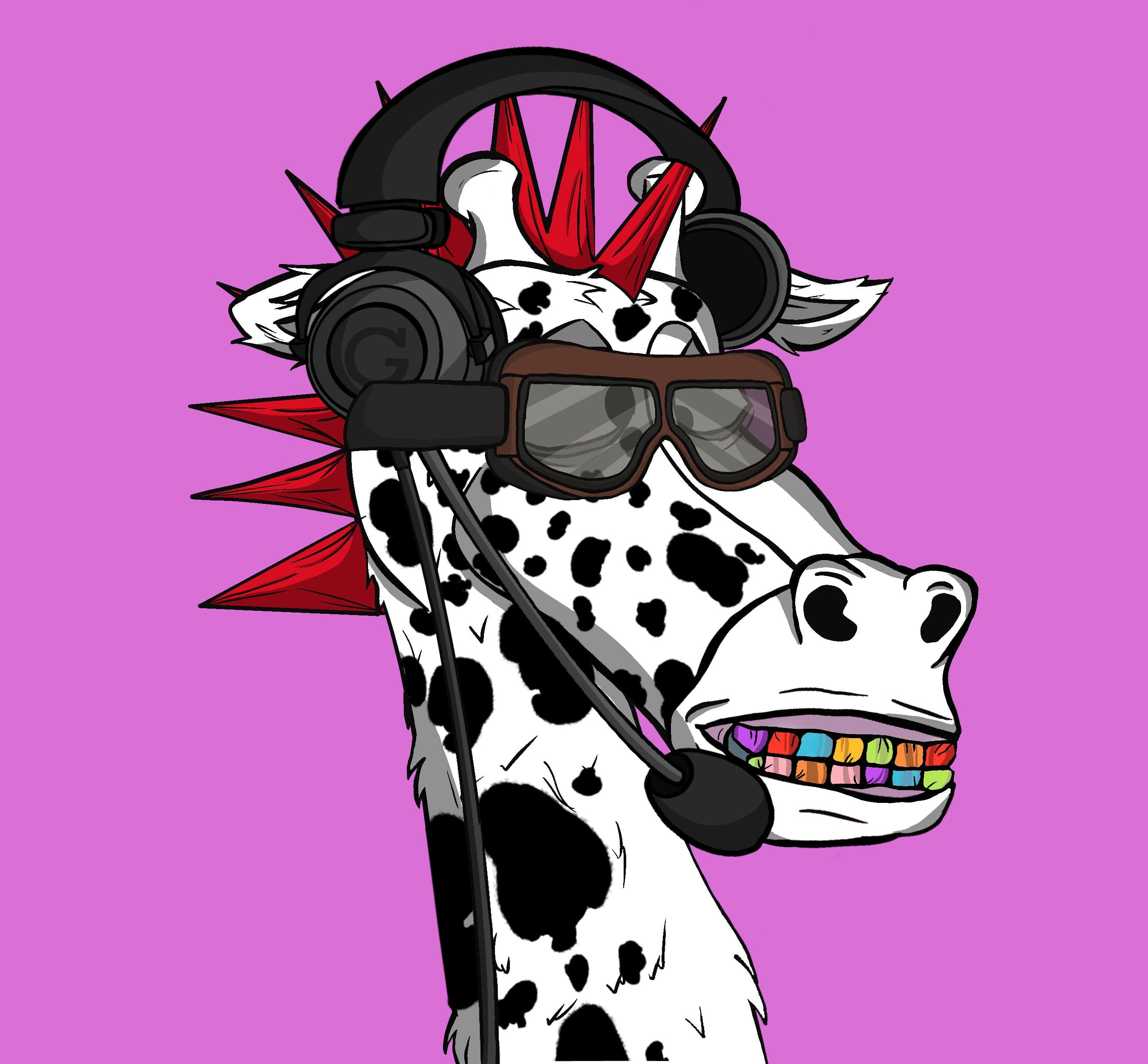 Giraffe #4347